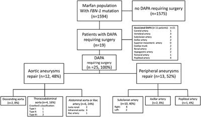 Non-Dissecting Distal Aortic and Peripheral Arterial Aneurysms in Patients With Marfan Syndrome